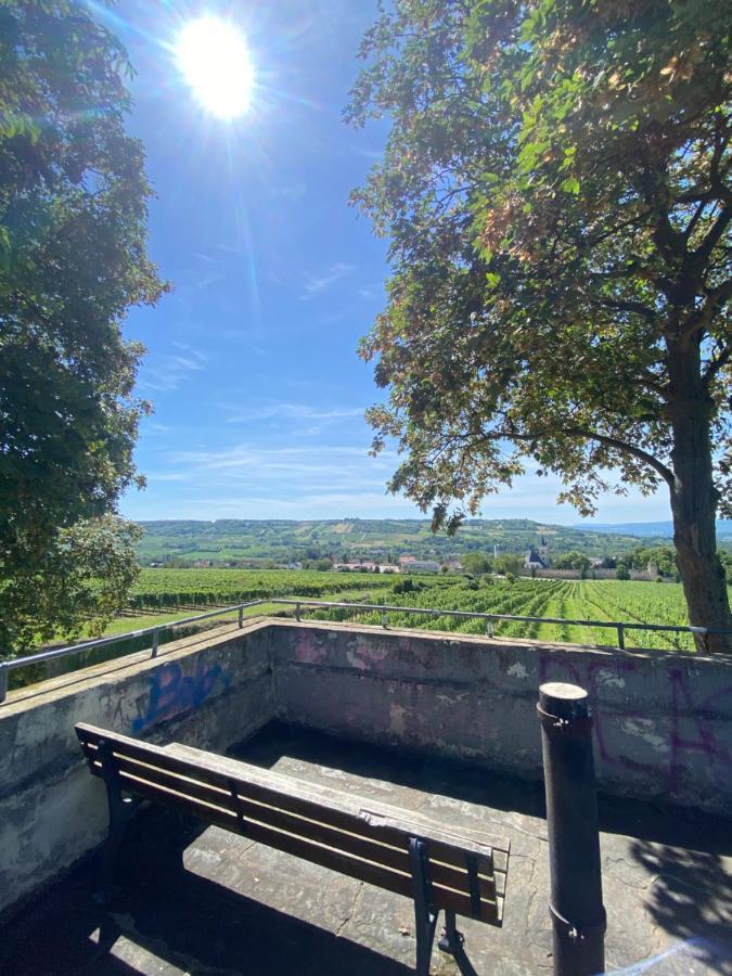 Willa Haeuschen Am Plenzer Ingelheim am Rhein Zewnętrze zdjęcie