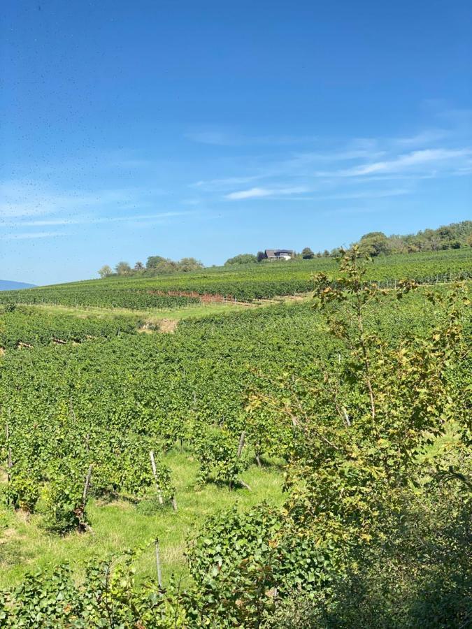 Willa Haeuschen Am Plenzer Ingelheim am Rhein Zewnętrze zdjęcie