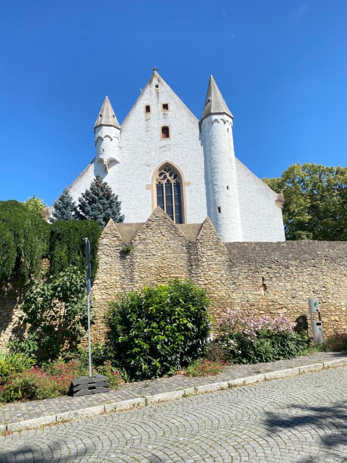 Willa Haeuschen Am Plenzer Ingelheim am Rhein Zewnętrze zdjęcie
