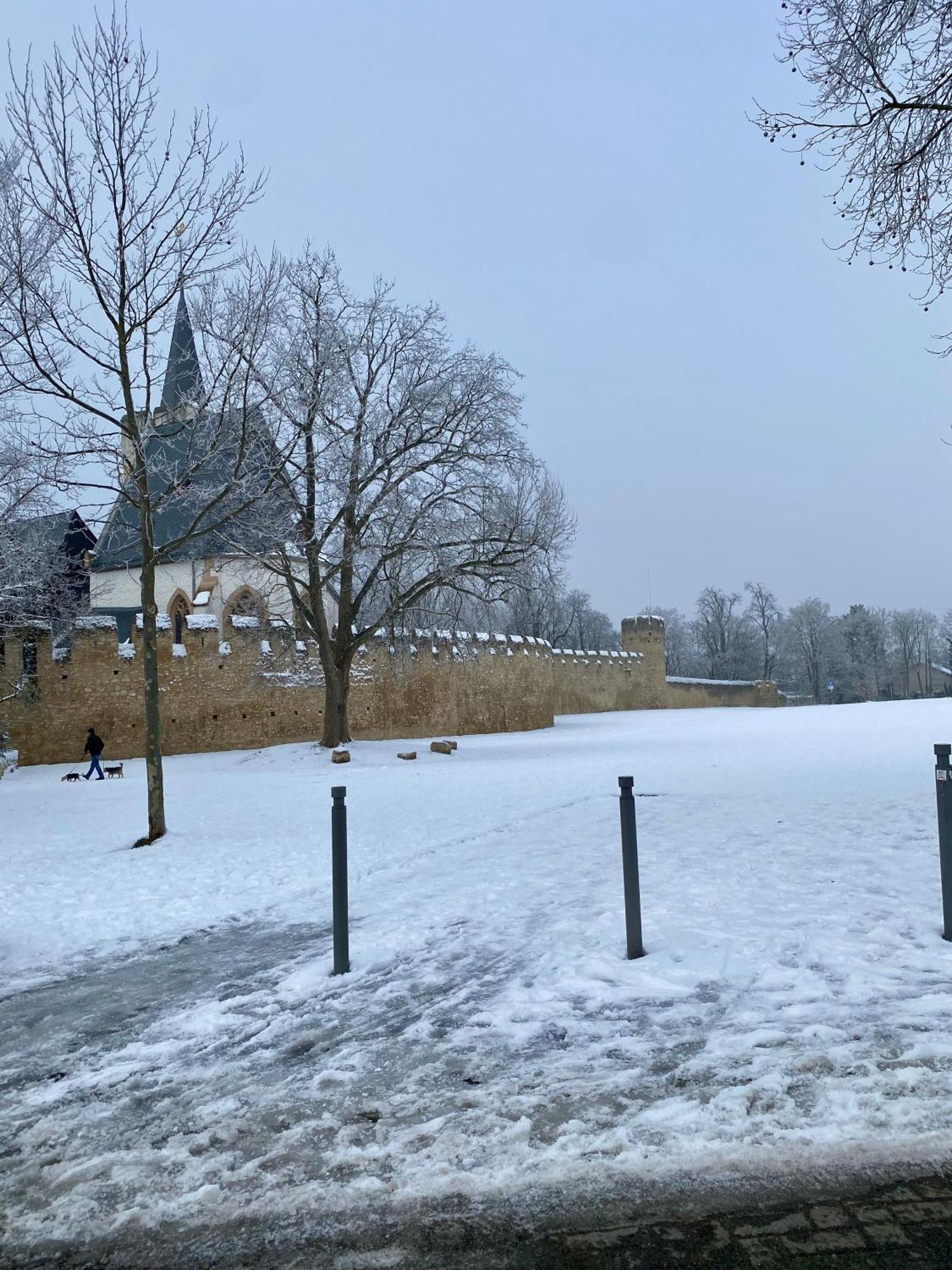 Willa Haeuschen Am Plenzer Ingelheim am Rhein Zewnętrze zdjęcie