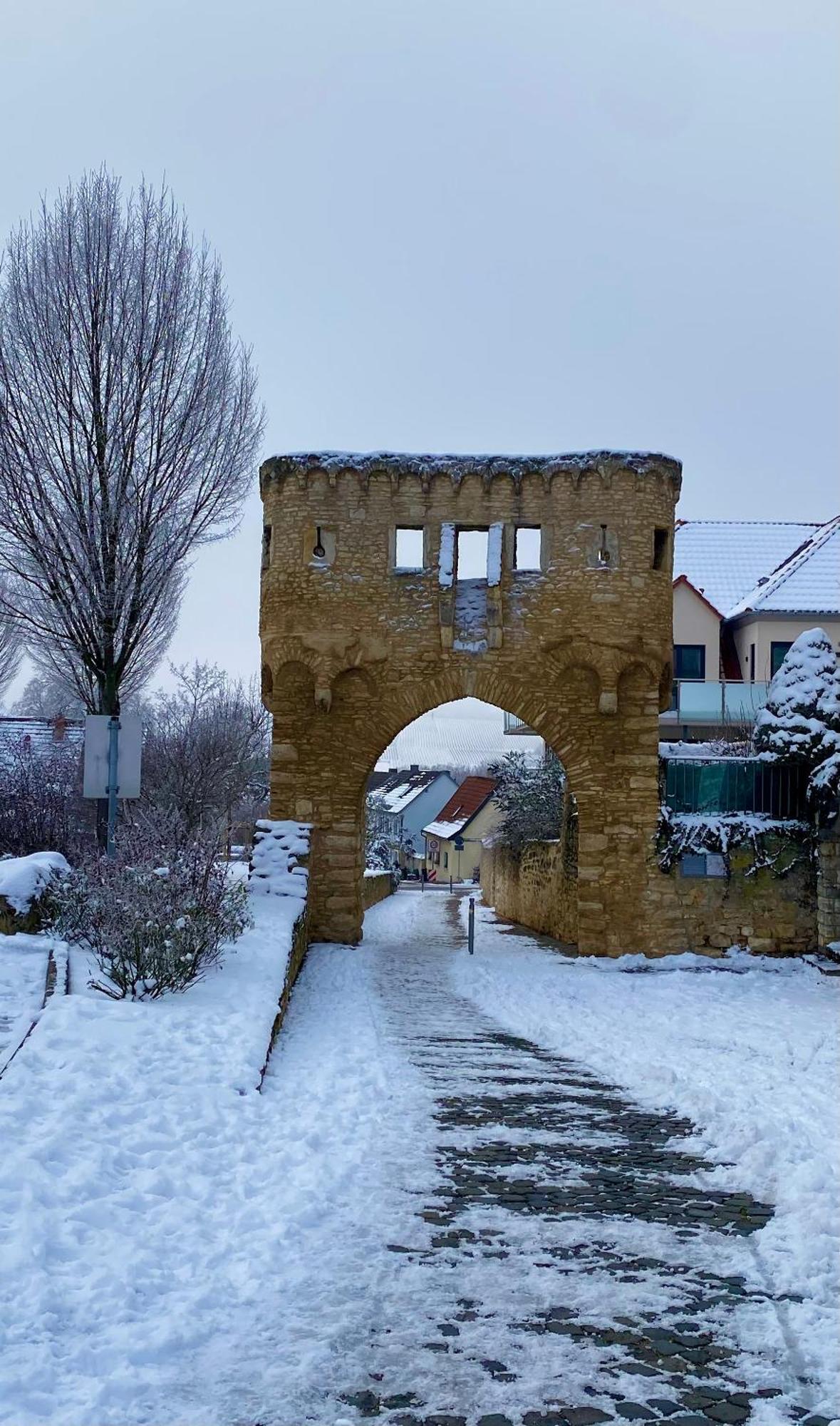 Willa Haeuschen Am Plenzer Ingelheim am Rhein Zewnętrze zdjęcie